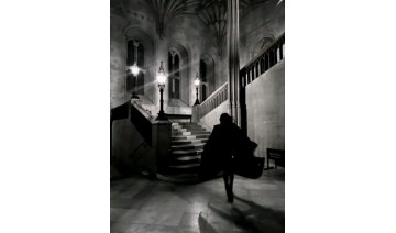 خدمات صوتية ، كتابة مقالات ، تدقيق لغوي.